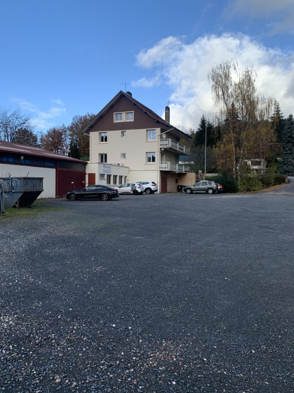 Vente Immobilier Professionnel Local d'activité Saint-Dié-des-Vosges 88100